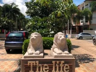 The Life 差安