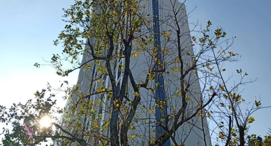 精华呵叻