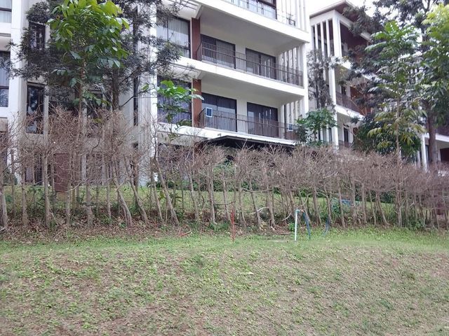 The Pluris Khaoyai