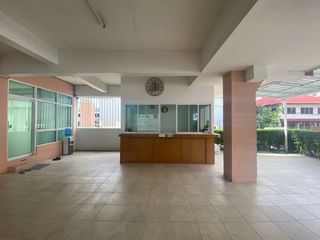 Ping Kan Chiang Mai