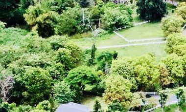Water Wheel Park