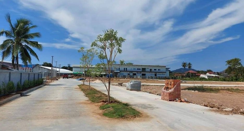 The Avenue Village