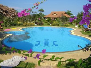 Turtle Village