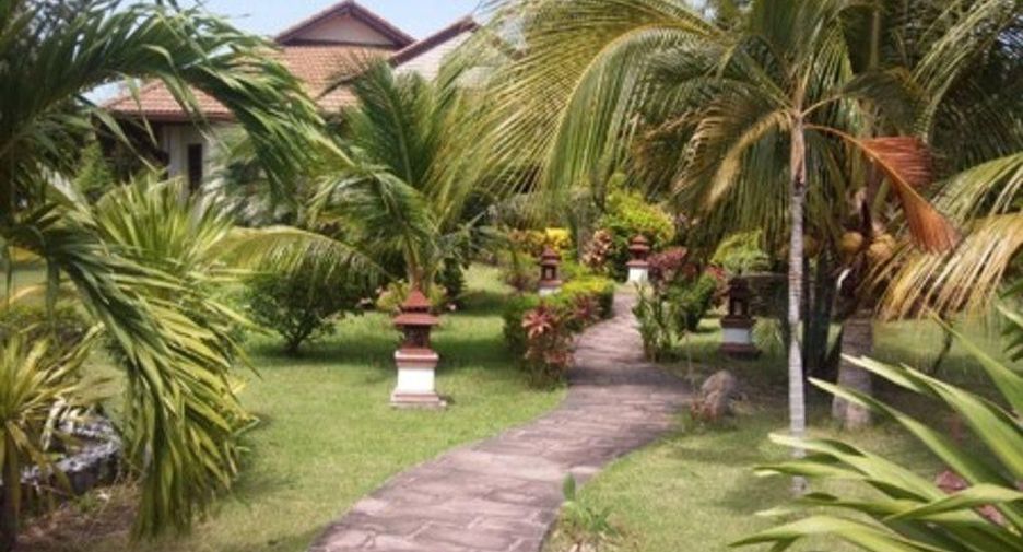 Turtle Village
