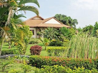 Turtle Village